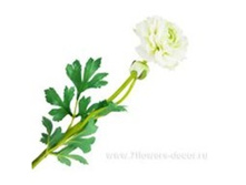 3760169245038 ������ ������������� �����, 52�� 144 313,95.jpg