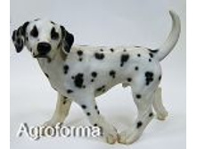 ������ ��������