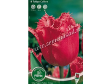 ������� �������.jpg