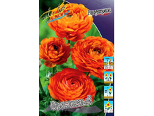 10,44���. ���������� ���������(���������� ������ ������ ���������� �� 10 ��.).jpg