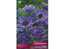 ������� ���� ���������.jpg