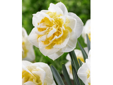 59,46���. ������� ����(�������� ���� �� 5 ��., ����������� ����� 1��.).jpg