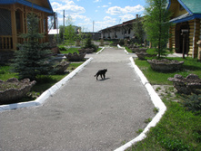 IMG 5807.jpg