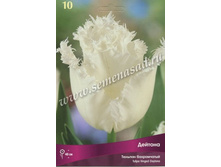 ������� �������.jpg