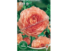 ����� ������.jpg