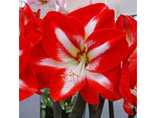 ��������� ����������.jpg