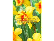 58,54���. ������� ������(�������� ���� �� 5 ��., ����������� ����� 1��.)���16.jpg