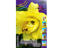 65,76���. ����� ������� ���(�������� ���� �� 5 ��., ����������� ����� 1��.).jpg