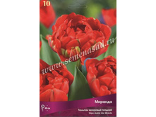 ������� �������.jpg