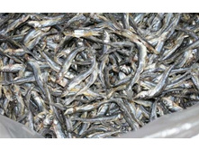 ������� ��������