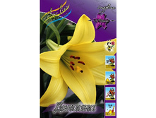 37���. ����� �������(��� 5 ��. ���������� ������ 2 ��� 3 ��.).jpg