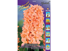 40,74���. ������� ������ ����(�������� ���� �� 5 ��., ����������� ����� 1��.).jpg