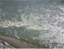 DSCN1512.jpg