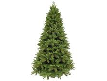 ������ ����� ���� �������