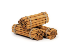 ������ ���������� � �������� ���� ALBA, 25 �� ���-�����