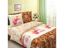 ���� ����� 530.jpg