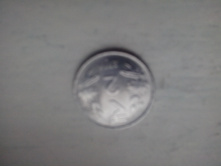 IMG 20141001 094326.jpg