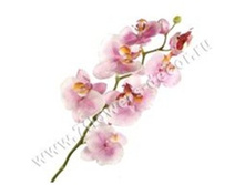 3760169248558 ������ ������������� ����������, 74�� 144 445,05.jpg