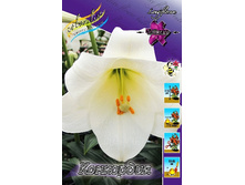 26,3���. ����� ���������(��� 7 ��. ���������� ������ 3 ��� 4 ��.).jpg