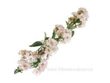 3661864012959 ����� ������������� ������, 140�� 36 1306,4.jpg