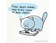 ��� ������ ������.jpg