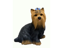 ������ ���� �������