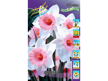 46,33���. ������� ����(�������� ���� �� 7 ��., ����������� ����� 1��.).jpg