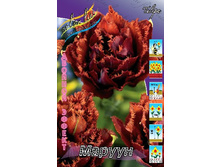 36,59���. ������� ������(��� 7 ��. ���������� ������ 3 ��� 4 ��.).jpg