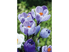 9,13���. ������ ������� �����(���������� ������ ������ ���������� �� 10 ��.).jpg