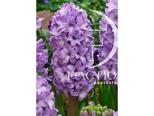 23,88���. ������� ��������� ����(��� 5 ��. ���������� ������ 2 ��� 3 ��.)���16.jpg