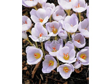 18,26���. ������ ����� (����������.)(��� 5 ��. ���������� ������ 2 ��� 3 ��.)���16.jpg