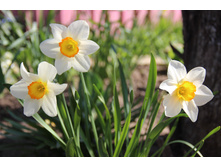 ������� 1 (�ϣ ����)