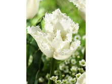 19,43���. ������� ��������(��� 10 ��. ���������� ������ 5��.)���16.jpg