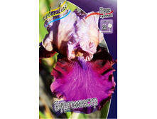 91,55���. ���� ���������� ����������(�������� ���� �� 2 ��., ����������� ����� 1��.).jpg