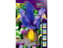 12,88���. ���� ����. ������ �����(���������� ������ ������ ���������� �� 10 ��.).jpg