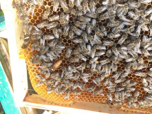 20160528 170135[1].jpg