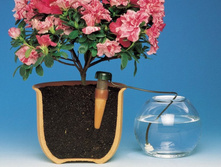 ������ � �������� ����� ��� �� ������������ � ���. ����� ������ ��������.jpg