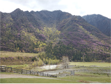 DSCN1386.jpg