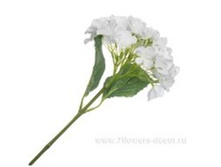 3661864021005 ������ ������������� ���������, 79c� 48 618,7.jpg