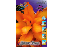 47,78���. ����� ���� ����(�������� ���� �� 5 ��., ����������� ����� 1��.).jpg