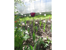 �����. ������ �����. �� ���������!