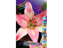 23,6���. ����� ������(��� 7 ��. ���������� ������ 3 ��� 4 ��.).jpg