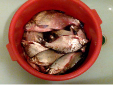 IMG 20160513 151517.jpg