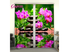 02118 "����� ���"