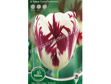 ������� ����� ��������.jpg