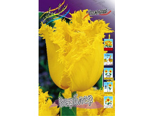 19,43���. ������� �������(��� 10 ��. ���������� ������ 5��.).jpg