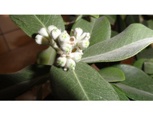 ������������ ��������� .....