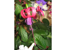 ������ ��������� 03.05.16�.