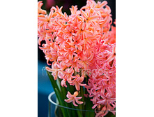 27,62���. ������� ����������(��� 5 ��. ���������� ������ 2 ��� 3 ��.)���16.jpg