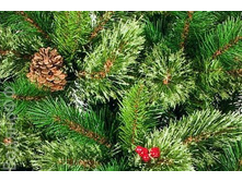 ���.����  �� ��� ������ ����� ����� �������